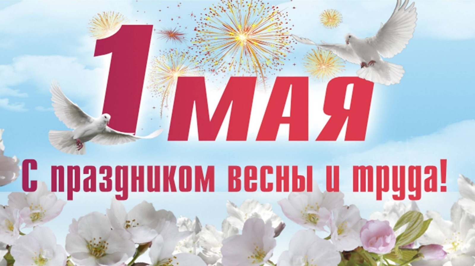 581bfdf1e77caa509c1ef84803747ba784a1d80b.jpg